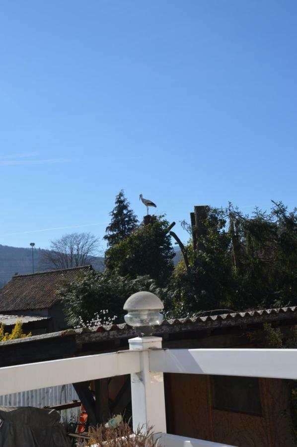 Gite Les Glycines 68230 Turckheim Exterior foto